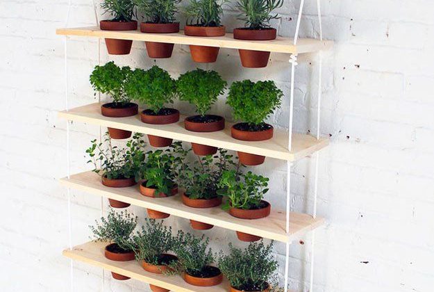 14 Creative Vertical Garden Tricks To Make The Most Of Your Outdoor Space DIY Tricks Outdoor Tips   