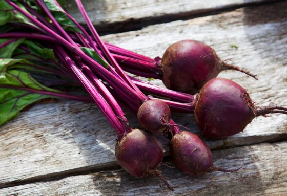 The 15 Wonderful Ways of Beetroots And How To Benefit From Them Quotes   