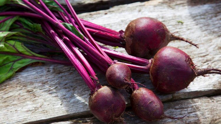 The 15 Wonderful Ways of Beetroots And How To Benefit From Them Quotes   