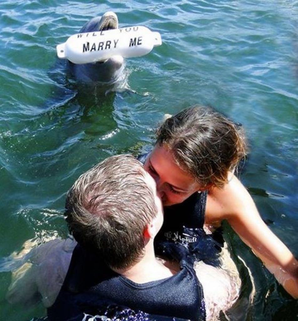 The Most Original Wedding Proposals Ever Quotes   