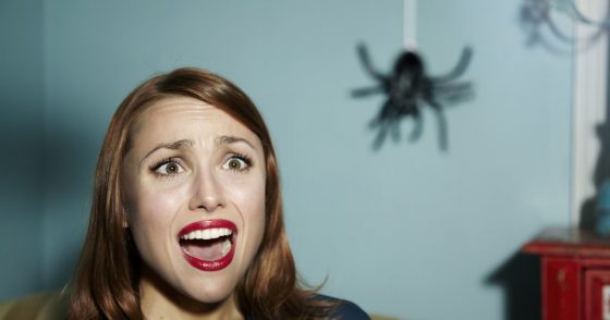 11 ways to kill a spider, these little creature that nobody likes Quotes   