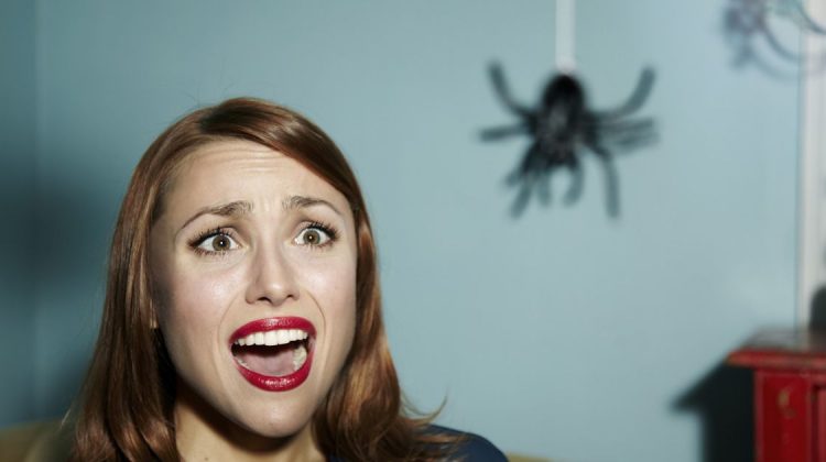 11 ways to kill a spider, these little creature that nobody likes Quotes   