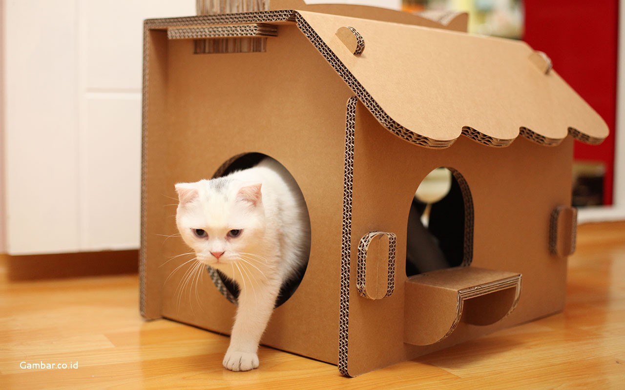 25 genius, cute, and ludicrous cardboard cat houses to inspire you! DIY Tricks   